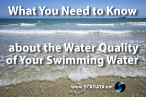 Read more about the article What You Need to Know about the Water Quality of Your Swimming Water